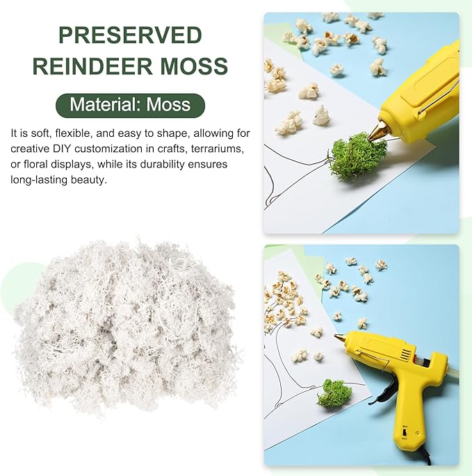 MECCANIXITY 4.6oz Preserved Reindeer Moss, White Decorative Artificial Fake Moss for Potted Plants Indoor Crafts Lichen Centerpieces Decor