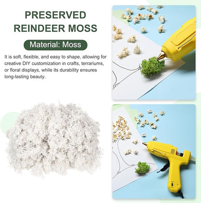 MECCANIXITY 4.6oz Preserved Reindeer Moss, White Decorative Artificial Fake Moss for Potted Plants Indoor Crafts Lichen Centerpieces Decor
