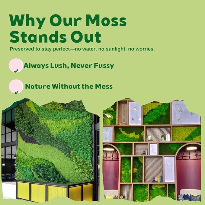 Preserved Moss for DIY Crafts - 1.5 sq.ft Natural Dried Moss for Terrarium, Fairy Garden, Home Decor, Wall Art, Floral Arrangements - Flexible Real for Creative Projects, Dark Green