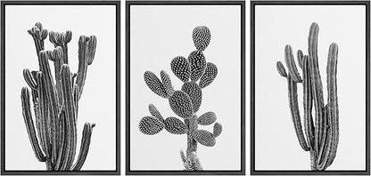 Ashbrook Framed Wall Art Print Set Black & White Southwest Desert Cactus Nature Floral Photography Modern Decorative Multicolor Relax/Calm for Living Room, Bedroom, Office - 16"x24"x3 Black