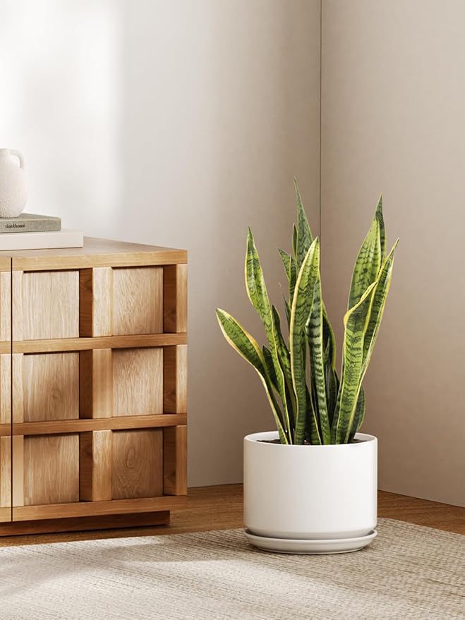 LE TAUCI Ceramic Pots for Plants, 10 Inch Plant Pot with Drainage Hole & Saucer, Sturdy & Modern Planters for Indoor Plants, Includes Mesh Screen, Fits Snake Plant & Monstera, White