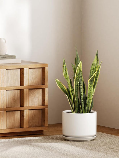 LE TAUCI Ceramic Pots for Plants, 10 Inch Plant Pot with Drainage Hole & Saucer, Sturdy & Modern Planters for Indoor Plants, Includes Mesh Screen, Fits Snake Plant & Monstera, White