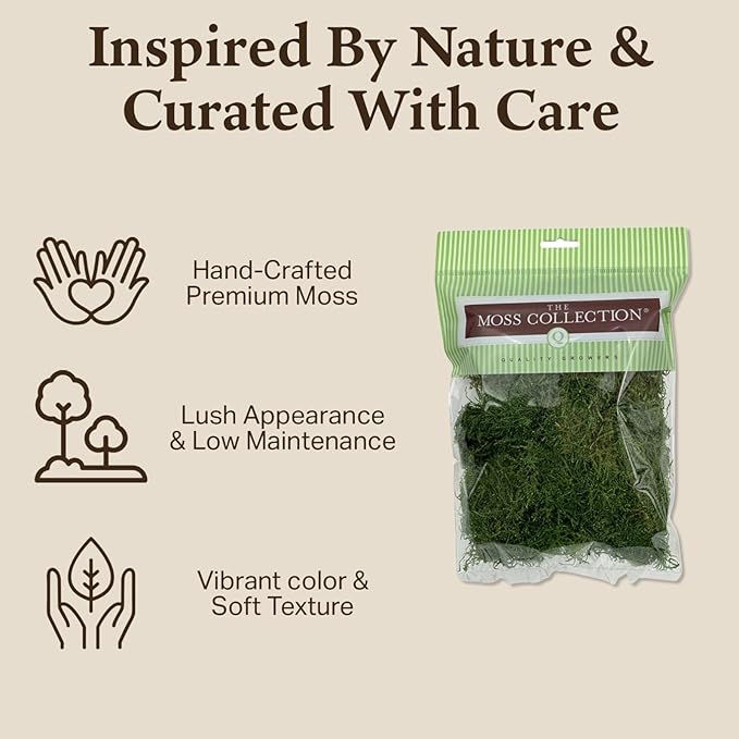 Preserved Sheet Moss - Premium Decorative Moss for Crafts, Home Décor, Art, Design & DIY Projects - Real Moss- Non-Toxic - USA-Made- (2-Pack Medium, Green)