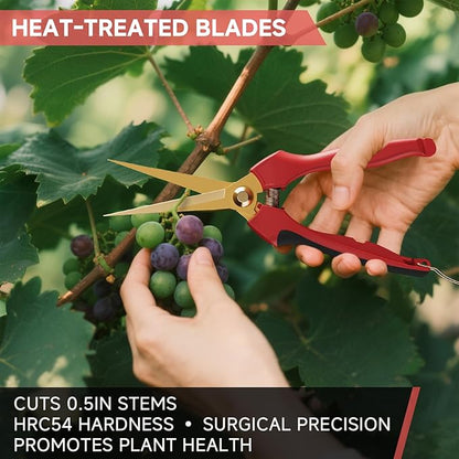 FLORA GUARD Garden shears – 8.2" Straight Tip & 7.2" Curved Blade pruning shears for gardening, Great Christmas Gifts, ideal for Precise Trimming of Flowers, Plants, and Garden Maintenance (2 Pack)