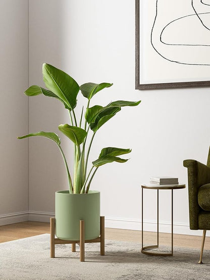 LE TAUCI Ceramic Plant Pots Indoor, 10+8+6 Inch Planters for Indoor Plants, Mid-Century Modern Pots with Drainage Hole and Plug, Cylinder Round Planters, Set of 3, Sage Green