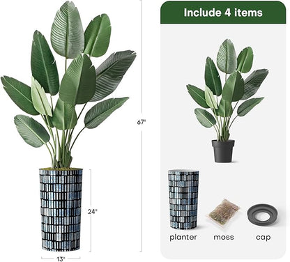 Artificial Tree in Contemporary Blue Stripe Patterned Planter, Fake Bird of Paradise Silk Tree for Indoor and Outdoor Home Decoration - 67" Overall Tall (Plant Pot Plus Tree)