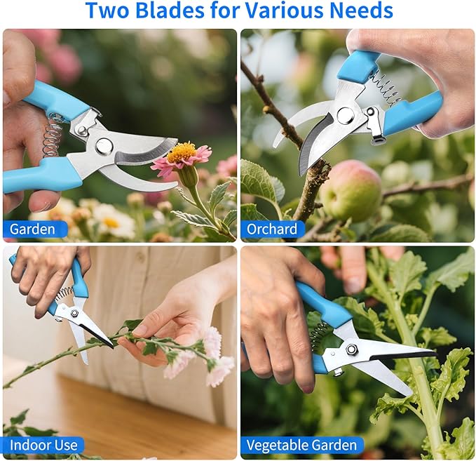 Garden Pruning Shears, 2-Pack Stainless Steel Garden Shears, Flower Scissors for Cutting Flowers, Trim Plants, Bonsai, Fruits, Includes Gloves & Arm Sleeves, Ideal Gardening Gift (Blue)