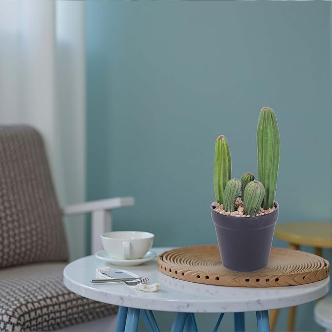 Artificial Cactus 11inch Faux Cactus Fake Cactus Potted Plants for Indoor Outdoor Home Offices Store Decor