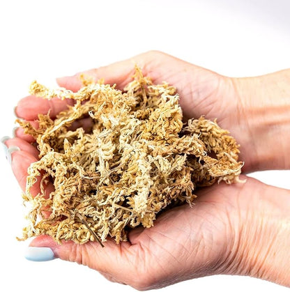 Premium Grade Sphagnum Moss by Gardenera - 20 Quart - Organic Hand Mixed New Zealand Long Fibered Sphagnum Moss Orchid - 4 Bags of 5 Quart