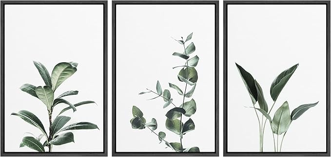 Ashbrook Framed Canvas Print Wall Art Set Green Floral Forest Plant Variety Nature Wilderness Photography Modern Art Minimal Chic Colorful for Living Room, Bedroom, Office - 16"x24"x3 Black