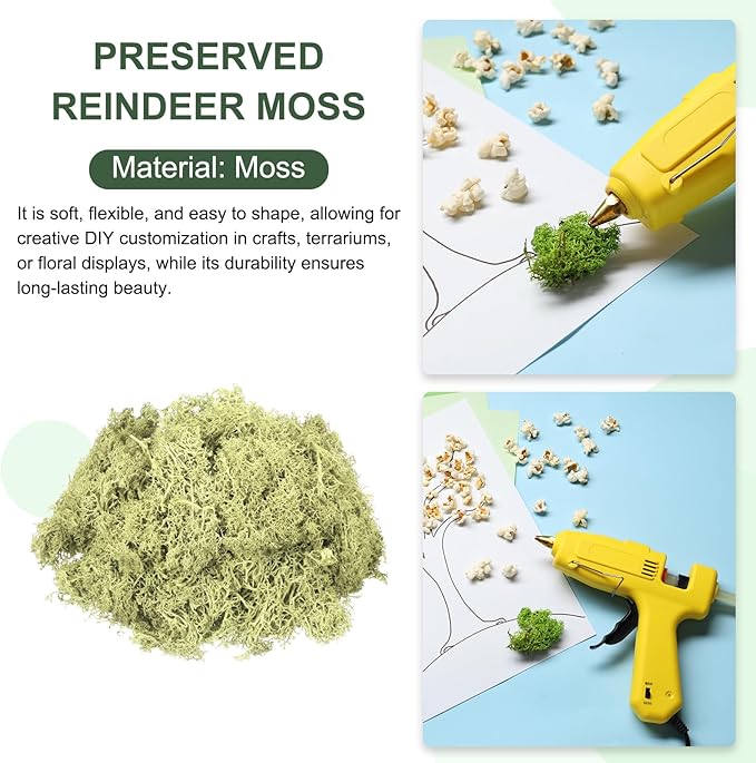 MECCANIXITY 3oz Preserved Reindeer Moss, Light Bright Green Decorative Artificial Fake Moss for Potted Plants Indoor Crafts Lichen Centerpieces Decor