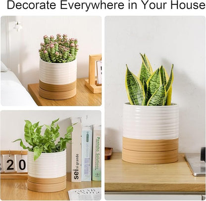HASENSE Pots for Plants, 8+6+4.6 Inch Ceramic Plant Pots Indoors with Drainage Hole and Tray, White Planters Set for Outdoor Indoor Plants, Farmhouse Home and Office Decor, Set of 3