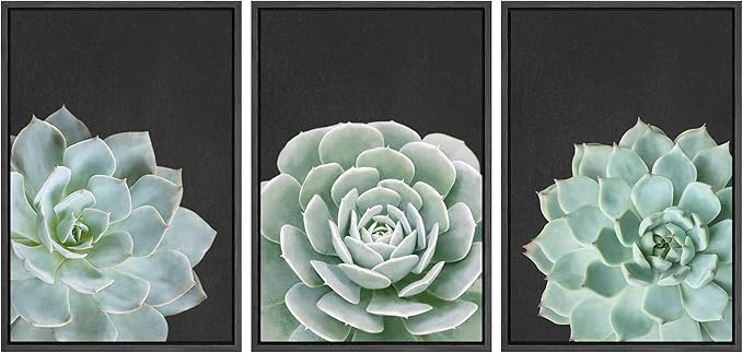 Ashbrook Framed Canvas Print Wall Art Set Green Desert Rose Cactus Succulents Nature Wilderness Photography Modern Art Minimal Chic Colorful for Living Room, Bedroom, Office - 16"x24"x3 Black
