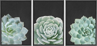 Ashbrook Framed Canvas Print Wall Art Set Green Desert Rose Cactus Succulents Nature Wilderness Photography Modern Art Minimal Chic Colorful for Living Room, Bedroom, Office - 16"x24"x3 Black