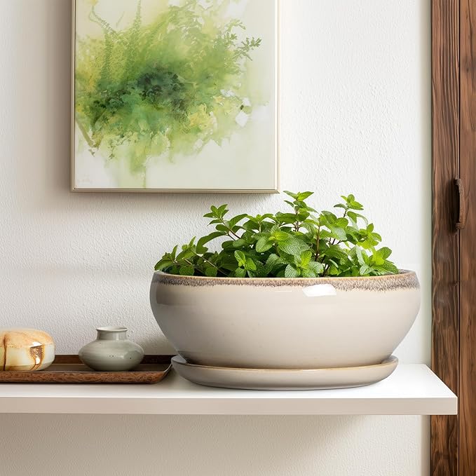 SQOWL Bonsai Pots 12 Inch - Large Ceramic Succulent Planters, Shallow Planter with Drainage Hole and Saucer, Round Bowl Planter for Indoor Outdoor Plants, Home Decor, Plant Lover Gifts, Beige