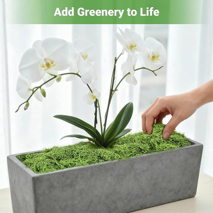 Artificial Green Moss for Potted Plants, 24.7 oz Fake Moss Decor for Indoor Plants, Glass Containers, Wedding, Gardens, DIY Crafts (Light Green)