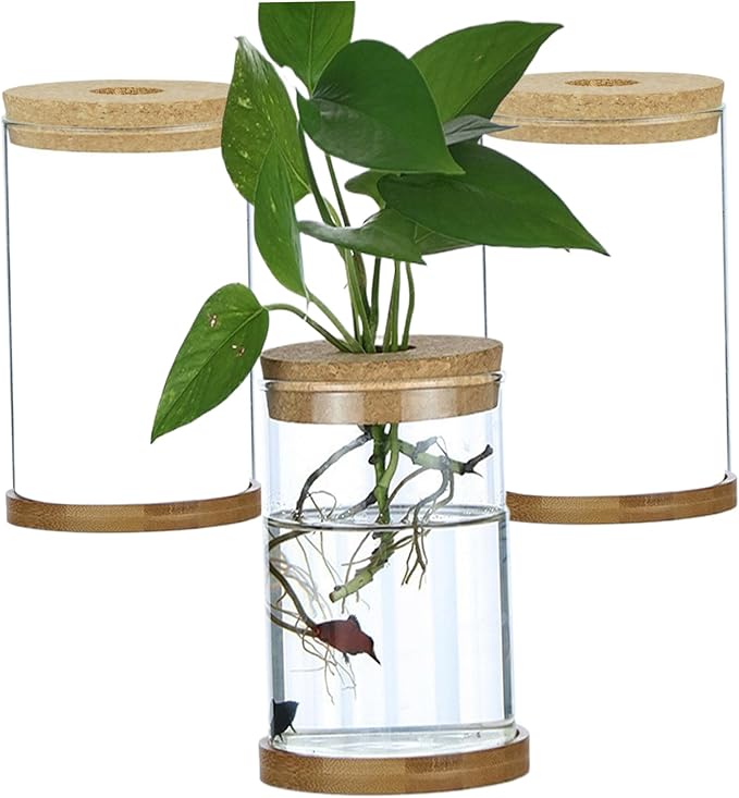 3Pcs Plant Propagation Station, Transparent Lidded Propagation Stations with Tray Hydroponic DIY Jars for Home Office Desktop, Straight