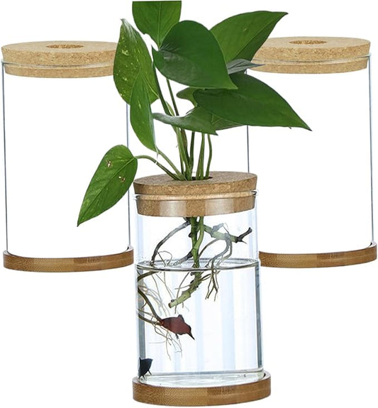 3Pcs Plant Propagation Station, Transparent Lidded Propagation Stations with Tray Hydroponic DIY Jars for Home Office Desktop, Straight