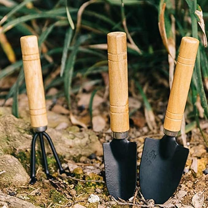 10pcs Succulent Planting Tool Set Mini Gardening Hand Tools for Potted Plants Bonsai Transplanting Kit Shovel and Rake for Indoor and Outdoor Use