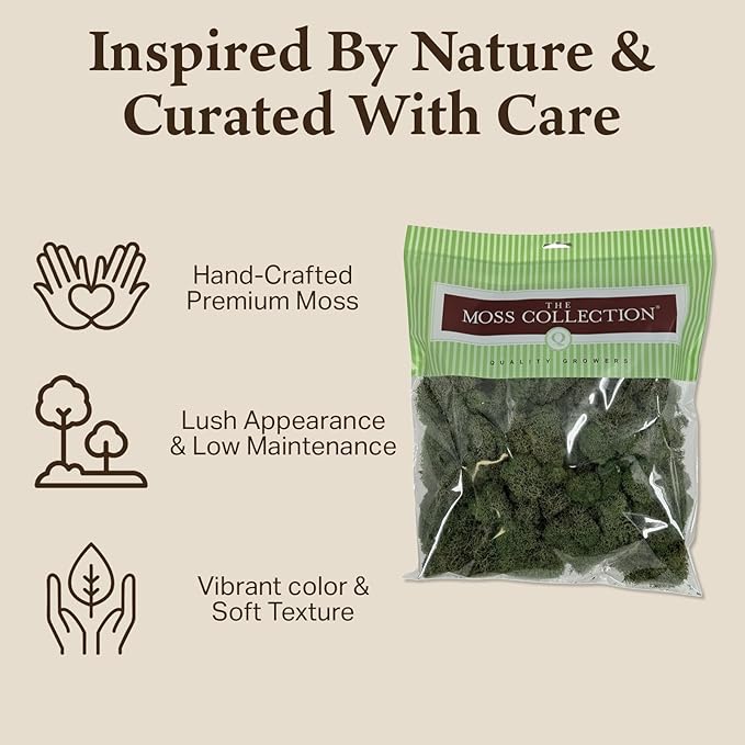Quality Growers - Preserved Reindeer Moss - Moss for Crafts, Home Decor, Art, Design & DIY Projects - Non-Toxic - USA Made (Basil, Medium, 2-Pack)