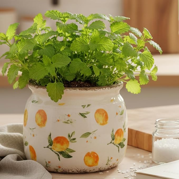 Ceramic Planters for Indoor Plants, Plant Pots with Drainage Hole, 6.29in. Flower Pots for Indoor Plants, Vintage Planters & Succulent Pots, Crackle Glaze Finish Plant Pots, Lemon