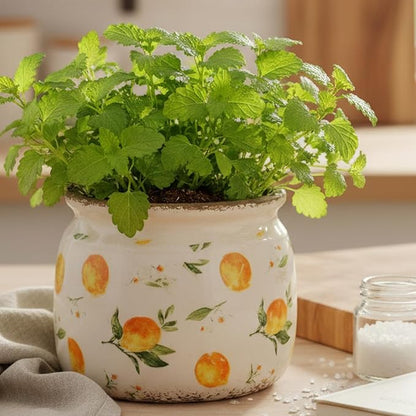 Ceramic Planters for Indoor Plants, Plant Pots with Drainage Hole, 6.29in. Flower Pots for Indoor Plants, Vintage Planters & Succulent Pots, Crackle Glaze Finish Plant Pots, Lemon