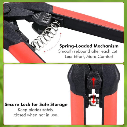 LIVINGO Sharp Garden Pruning Shears - 2 Pack 6.5” Spring Loaded Handles, Non-Stick Teflon Coated Stainless Steel Blades Scissors for Trimming Plant, Flower