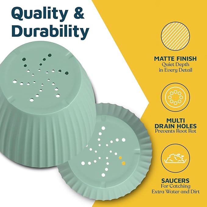 Mint 6-Inch Plant Pots with Drainage & Saucers 12 Pack, Indoor & Outdoor Planters for Houseplants, Herbs, and Flowers, Durable & Weatherproof Material, Stackable, Lightweight, Minimalist Design