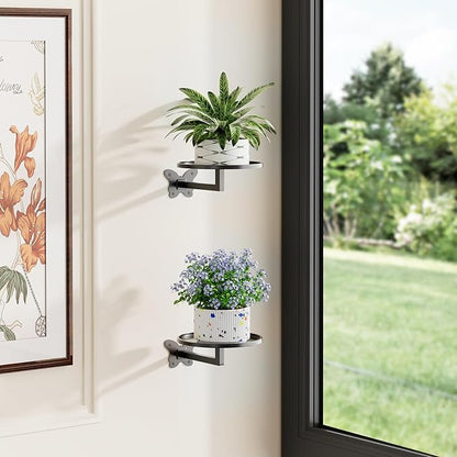 Butterfly Buckle Wall Mounted Plant Shelf 2-Pack Hanging Flower Pot Holder Black Iron Art Space Saving Indoor Balcony Decorative Shelf 5.9 Inch Round Tray Small Potted Plant Organizer Sturdy Bearing for Wall Storage Rack