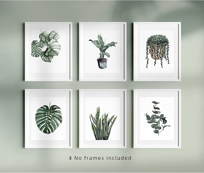 Plant Prints Wall Art Decor for Living Room, 8x10 Poster Canvas Prints Unframed Set of 6, Boho Wall Art Leaf Art Print Plant Posters Aesthetic