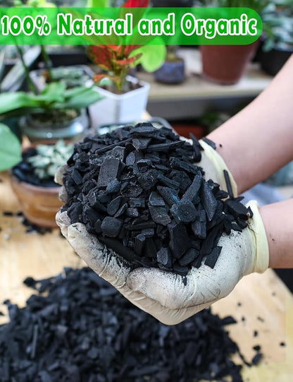 TOYPOPOR Horticultural Charcoal for Indoor Plants (6 Quarts) Hardwood Potting Soil Amendment Helps Improve Drainage for Orchids, Succulent, Cactus, Terrariums, and Gardening