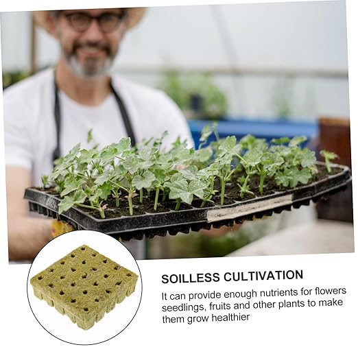 Sosoport 125pcs Soilless Cultivation Inserting Seedlings Nutrient Block Plant Fertilizer Easy to Use for Vegetable Flower Garden