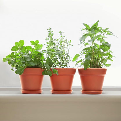 6 Pack Plastic Plant Pots with Drainage Holes and Tray, 7 inch Thickened Indoor Planters Seedlings Nursery Pots for Flowers, African Violet, Succulent and All House Plants, Terracotta