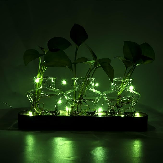 Plant Propagation Stations, Plant Lover Gift, Star Shaped Glass Vase with Wooden Stand for Propagating Hydroponic Home Office Garden Decor