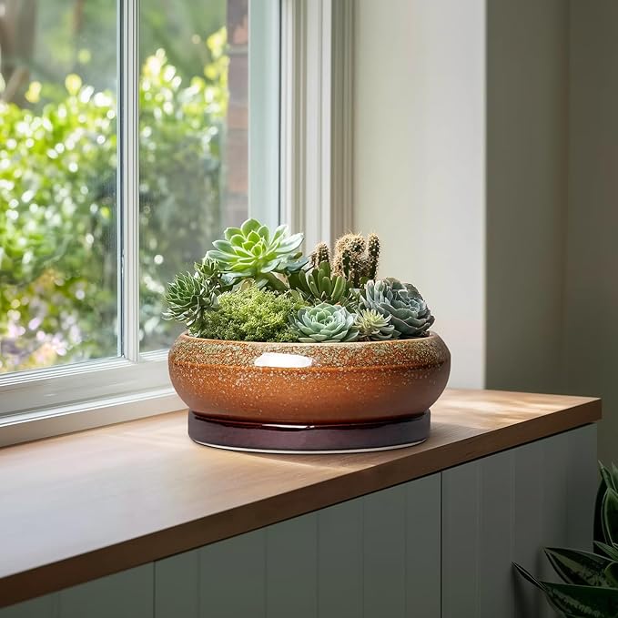 Bonsai Pots 13 Inch - Large Ceramic Succulent Planter for Indoor Outdoor, Round Shallow Planters with Drainage Hole and Saucer, Large Succulent Pots, Patio Decor, Garden Gifts, Retro Brown