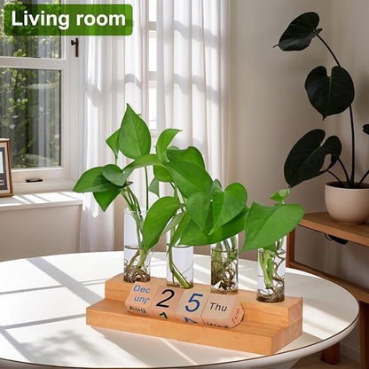 Plant Propagation Station with Block Calendar for Desk, Double-Layer Stand Design, More Stable Placement, Perfect Gardening Gifts for Plant Lovers Women (Dark Wood Color)