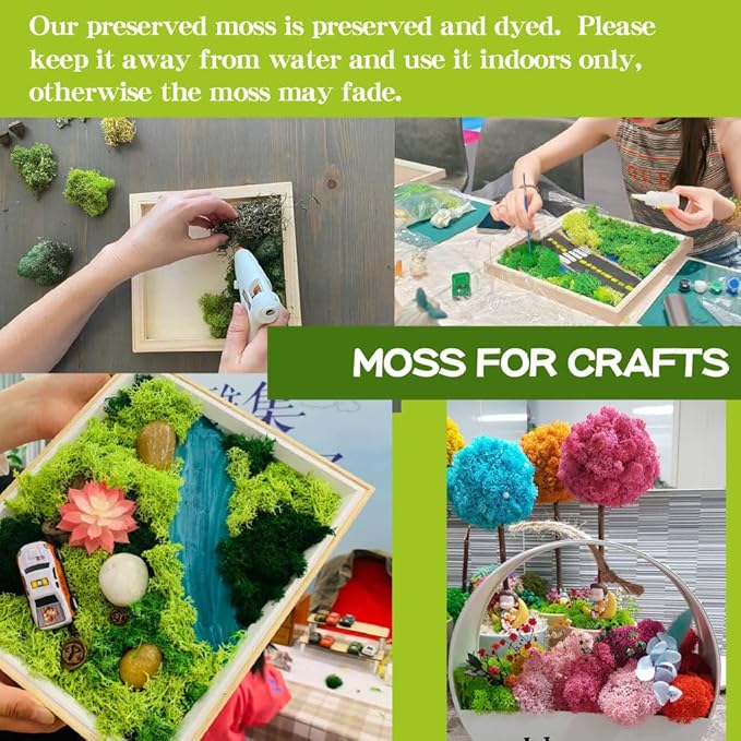 Preserved Moss-3.5 OZ Moss for Crafts Faux Moss Decor Natural Green Moss for Art Wall Florist Decor, Fairy Gardens, Wedding, Floral Project(Light Pink 3.5 OZ)