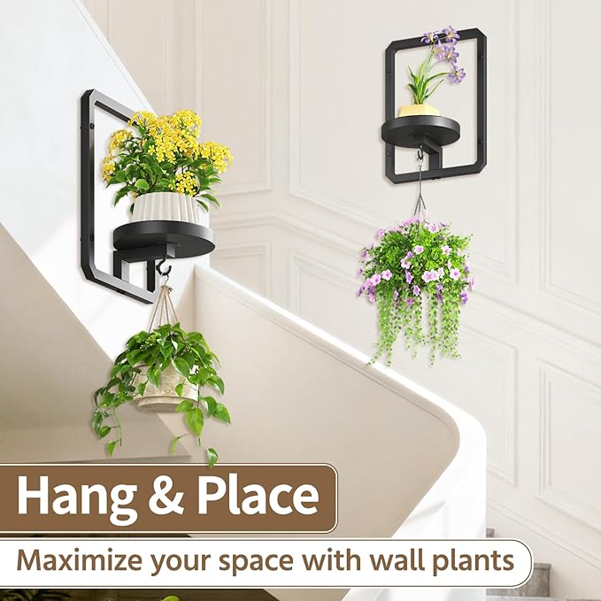 LASZOLA 2 Pcs Black Wall Mount Plant Shelves with Hangers for Indoor Flower, Heavy Duty Metal Window Floating Planter Holders Stand, Modern Iron Picture Frame with Hook Decorative for Kitchen Bathroom