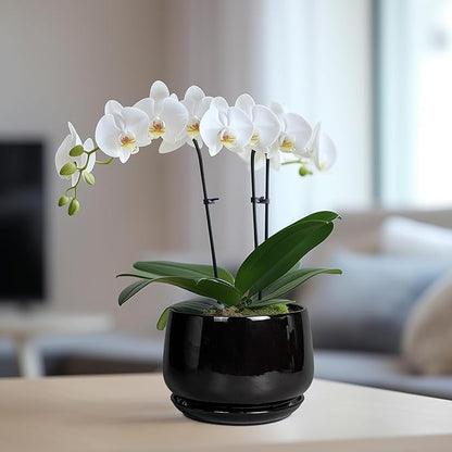 G EPGardening 6 Inch Planter - Ceramic Pot for Plants, Ceramic Planter with Drainage and Saucer, Round Flower Pot Indoor Outdoor, Modern Room Decor, Home Gifts, Black