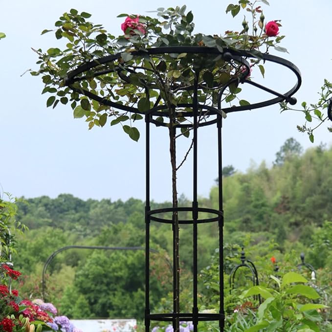 Garden Trellis for Climbing Plants and Flowers,Rustproof Metal Vertical Umbrella Trellis,Garden Obelisk Climbing Plant Trellis(Size:180cm,Color:Black)