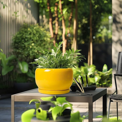 SQOWL 10 Inch Plant Pot - Ceramic Planter with Drainage Hole and Saucer, Modern Large Flower Pot for Indoor Outdoor Plants, Decorative Round Planter, Home Decor, Gifts for Gardeners Woman, Yellow