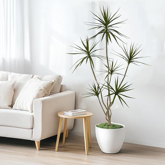 Artificial Dracaena marginata,6ft Tall Fake Plants Artificial Dracaena marginata Plants for Indoor, Fake Trees for Office Home Living Room Floor Patio Greening Porch Decor