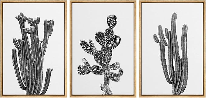 Ashbrook Framed Wall Art Print Set Black & White Southwest Desert Cactus Nature Floral Modern Decorative Multicolor for Living Room, Bedroom, Office - 16"x24"x3 Natural