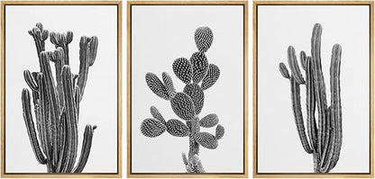 Ashbrook Framed Wall Art Print Set Black & White Southwest Desert Cactus Nature Floral Modern Decorative Multicolor for Living Room, Bedroom, Office - 16"x24"x3 Natural