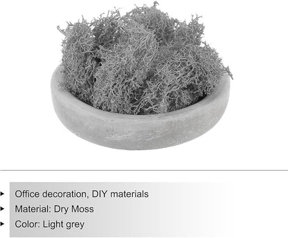 MECCANIXITY 3.5 OZ Moss Fake Craft Moss Artificial Moss Natural Preserved Moss for Craft Arts Floral DIY Project Wall Wedding Garden Patio Table Terrariums Decoration(Light Grey)