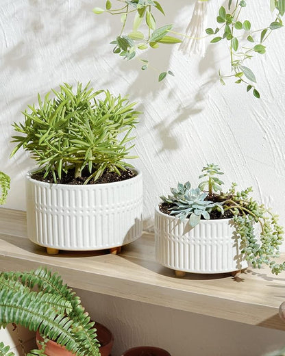 LE TAUCI Succulent Pots, 6.5+8 Inch Ceramic Indoor Plant Pot with Drainage Hole, Shallow Round Succulent Planters, Set of 2, Matte White