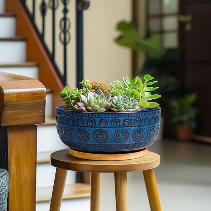 Bonsai Pots 8 Inch - Ceramic Succulent Pots for Indoor Plants, Shallow Round Planters with Drainage Hole and Saucer, Boho Bonsai Bowl, Home Decor, Blue