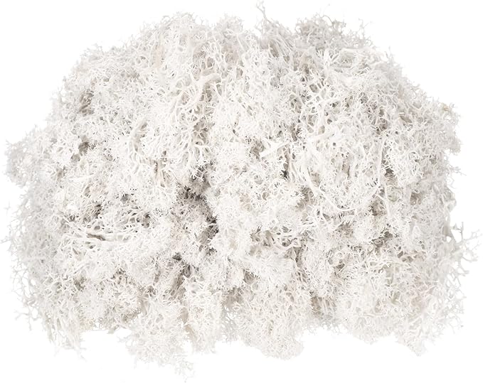 MECCANIXITY 4.6oz Preserved Reindeer Moss, White Decorative Artificial Fake Moss for Potted Plants Indoor Crafts Lichen Centerpieces Decor