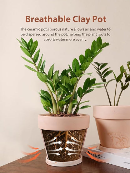 INGOFIN Terracotta Plant Pots 8 Inch Set of 2, Red White Clay Flower Pots with Drainage Holes & Tray Saucers, Breathable Garden Planters for Indoor Outdoor, Succulent, Cactus, Herbs