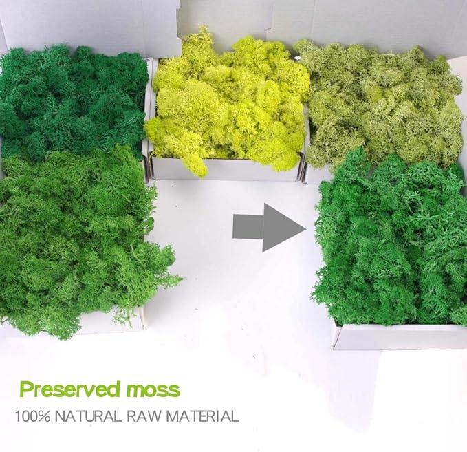 Preserved Moss-3.5 OZ Moss for Crafts Faux Moss Decor Natural Green Moss for Art Wall Florist Decor, Fairy Gardens, Wedding, Floral Project(Leaf Green 3.5 OZ)